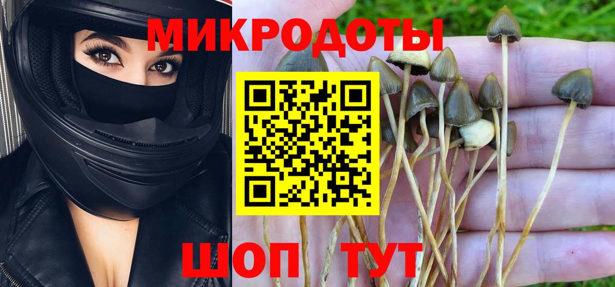 Галлюциногенные грибы Cubensis Егорьевск
